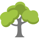 Glendale Tree Removal